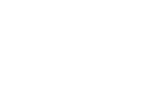 hayleys travels and spirit of sri lanka logo in black and white.