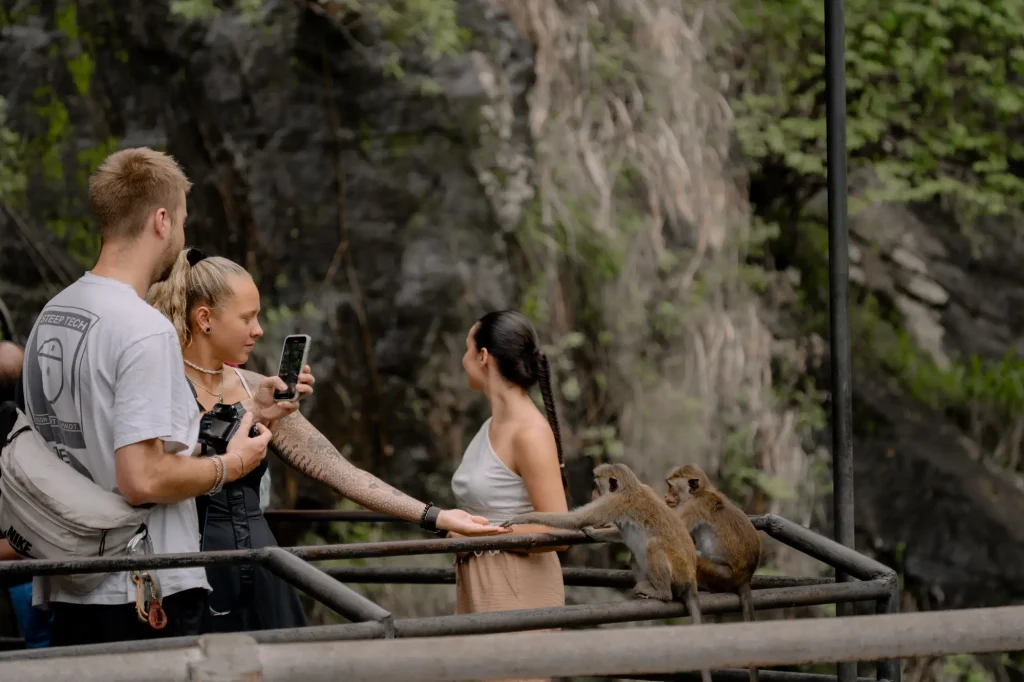 a tourist couple touching the hand of a monkey.