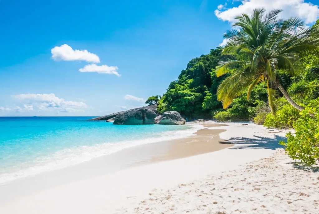 a tropical sri lankan beach with white sand and clear blue water.