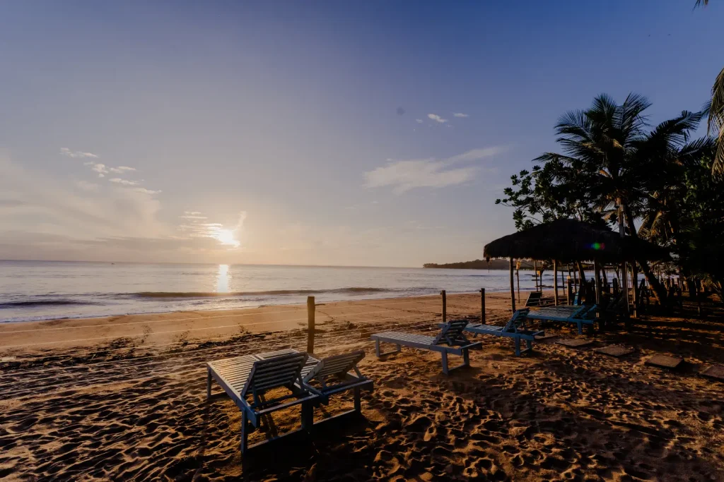 sunrise on a sri lankan beach with sun loungers and palms.