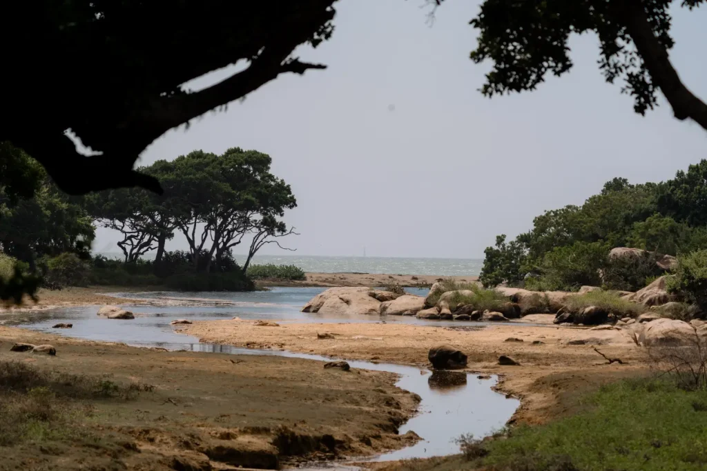 a river flowing through a rocky landscape to the ocean in sri lanka.