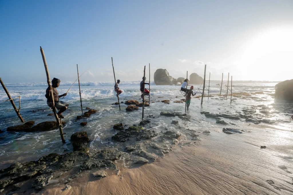 sri lankan stilt fishermen fishing in the ocean at sunset.