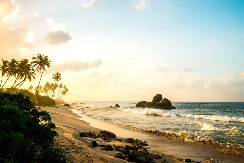 golden sunrise on a sri lankan beach with palm trees and rocks.