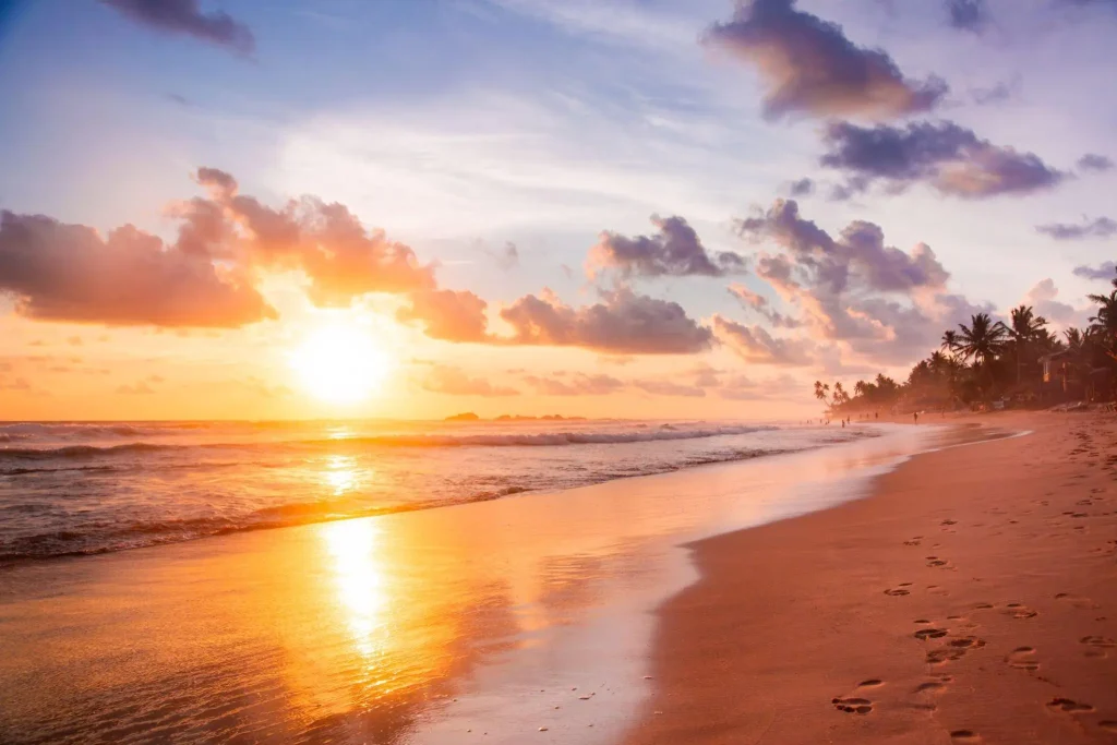 golden sunset on a sri lankan beach with palm trees.