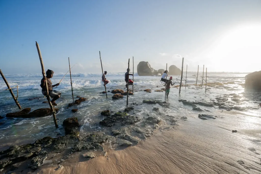 sri lankan stilt fishermen fishing in the ocean at sunset.